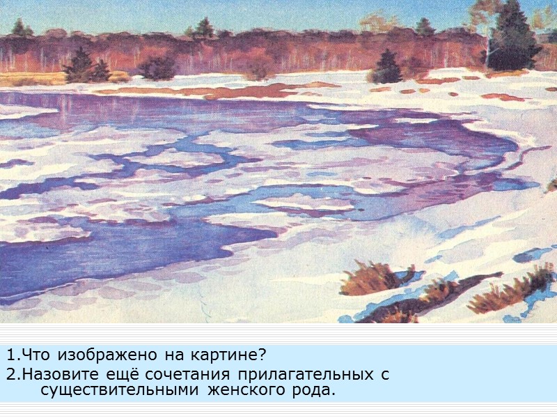 1.Что изображено на картине? 2.Назовите ещё сочетания прилагательных с существительными женского рода.
